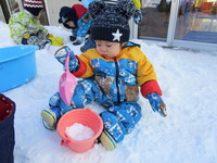 ヒヨコ雪遊びのサムネール画像